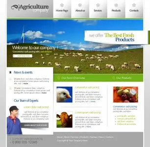 TemplatesBox - Website Template #PW217