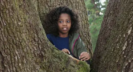The Starving Games (2013)