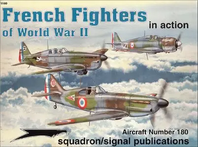 French Fighters of World War II in Action