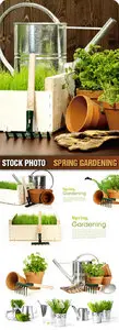 Stock Photo - Spring Gardening