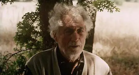 Mayis Sikintisi / Clouds of May (1999)