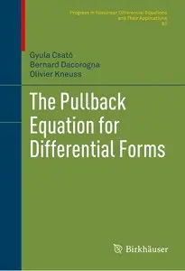 The Pullback Equation for Differential Forms (repost)