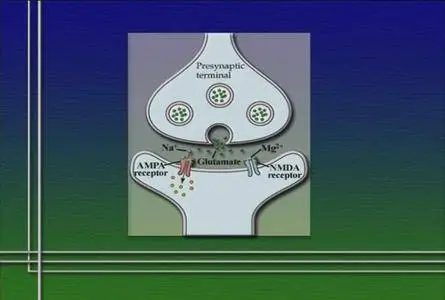 Biology: The Science of Life [repost]