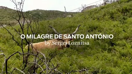 The Miracle of Saint Anthony / O Milagre de Santo Antonio (2012)