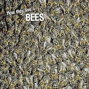 How they live... Bees: Learn All There Is to Know About These Animals!