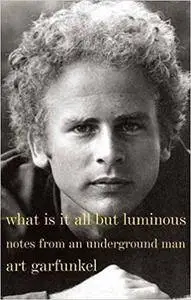 What Is It All but Luminous: Notes from an Underground Man