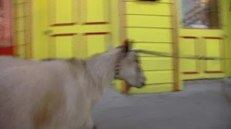Absurd Planet S01E12