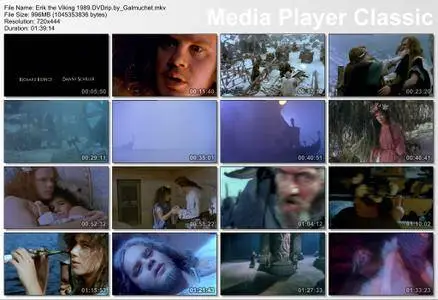 Erik the Viking (1989)