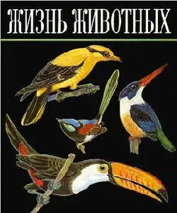 Жизнь животных, том 5