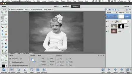 Infinite Skills - Learning Adobe Photoshop Elements 11