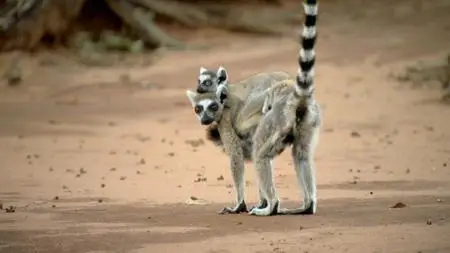 BBC - Incredible Journeys with Simon Reeve (2021)