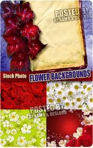 Flower Backgrounds - UHQ Stock Photo