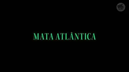 Mata Atlantica (2016)