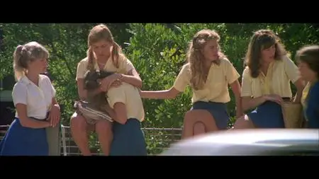 Puberty Blues (1981)