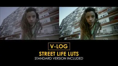 V-Log Street Life and Standard LUTs 51434206