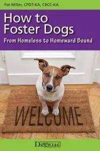 How to Foster Dogs: From Homeless to Homeward Bound