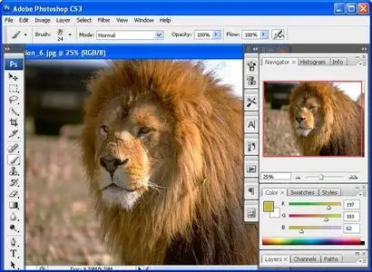 Portable Adobe Photoshop CS3 Lite (48 MB)