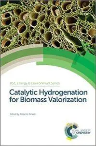 Catalytic Hydrogenation for Biomass Valorization