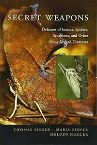 Secret Weapons: Defenses of Insects, Spiders, Scorpions, and Other Many-Legged Creatures