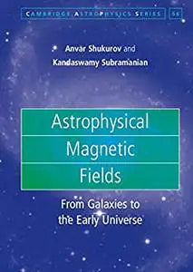 Astrophysical Magnetic Fields: From Galaxies to the Early Universe