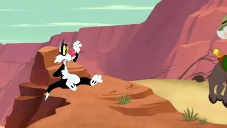 Looney Tunes Cartoons S04E08