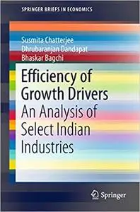 Efficiency of Growth Drivers: An Analysis of Select Indian Industries (Repost)