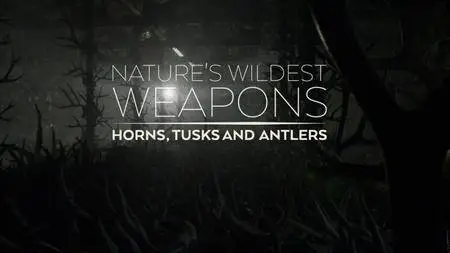 BBC Natural World - Nature's Wildest Weapons (2017)