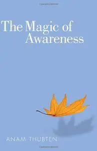 The Magic of Awareness