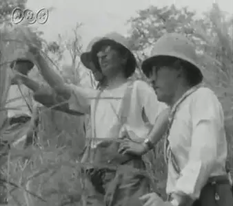 Japan war newsreel 1940年(昭和15年)7月23日