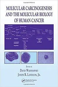 Molecular Carcinogenesis and the Molecular Biology of Human Cancer