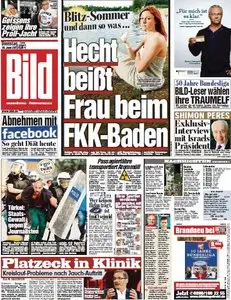Bild vom Dienstag, 18. Juni 2013