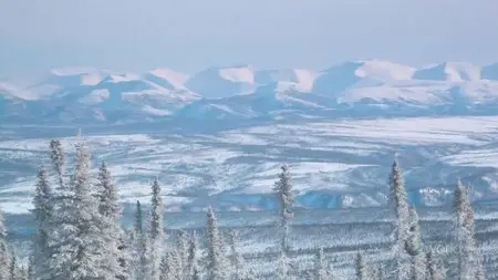 NHK Great Nature - Aurora Canada's Light Spectacular (2012)