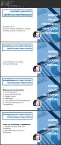 Business Analysis Competencies: Professional Effectiveness