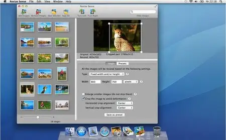 VeprIT Resize Sense 1.4.0