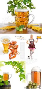 Beer 9