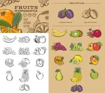 Fruits in Vintage Style - Vector Illustrations