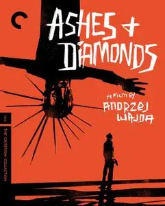 Ashes and Diamonds / Popiól i diament (1958) [The Criterion Collection]