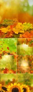 Stock Photo - Autumn Backgrounds