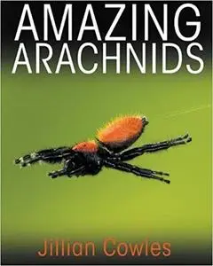 Amazing Arachnids