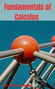 Fundamentals of Calculus: English Edition