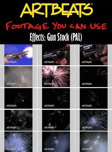 Effects: Gun Stock (PAL)