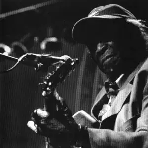 VA - Last Of The Great Mississippi Delta Bluesmen: Live In Dallas (2007)