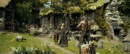 The Hobbit: The Desolation of Smaug - Extended (2013)