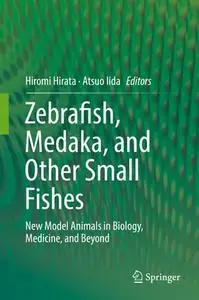 Zebrafish, Medaka, and Other Small Fishes: New Model Animals in Biology, Medicine, and Beyond