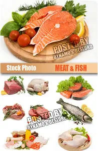 Meat & Fish - UHQ Stock Photo