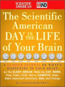 The Scientific American Day in the Life of Your Brain (repost)
