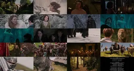 The Chronicles of Narnia: The Lion, the Witch and the Wardrobe (2005)