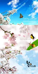 PSD templates - Spring has come