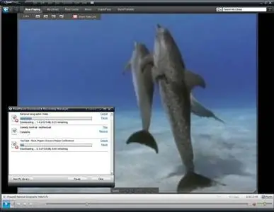 Portable RealPlayer 11.0.3(11.0.0.446)