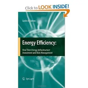 Energy Efficiency: Real Time Energy Infrastructure Investment and Risk Management (Repost)
